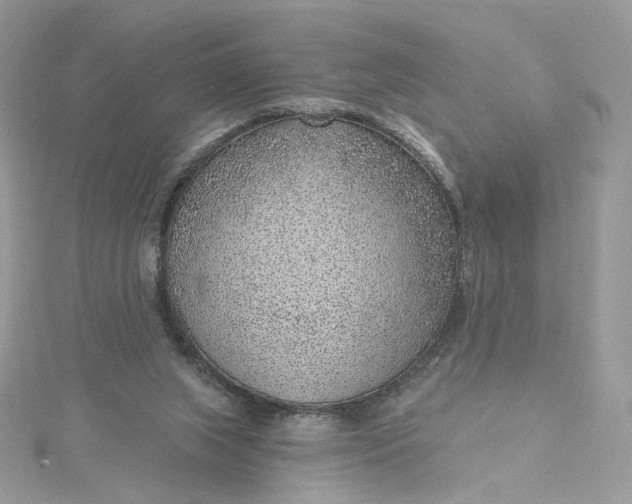 X0000115380063200911171444