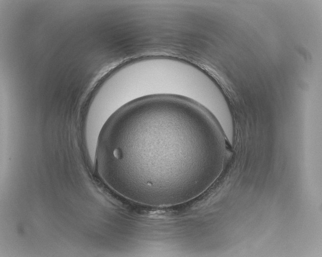 X0000115380064200911171444