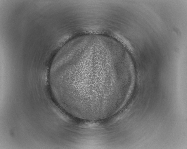 X0000115380065200911171444