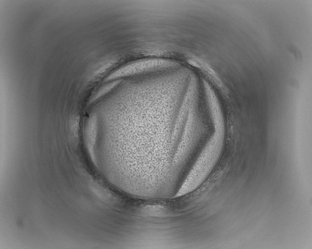 X0000115380066200911171444