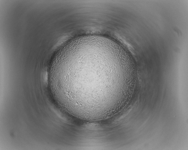 X0000115380067200911171444