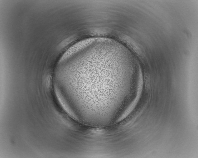 X0000115380071200911171444