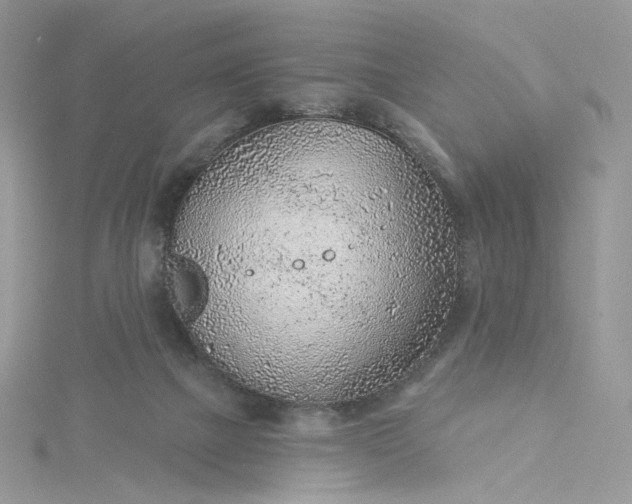 X0000115380073200911171444