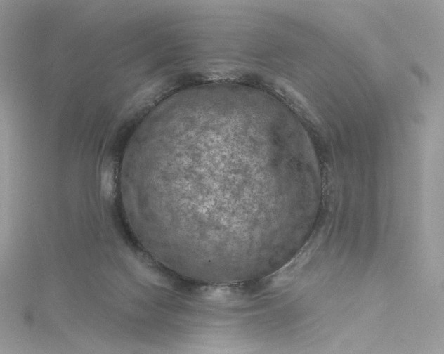 X0000115380074200911171444