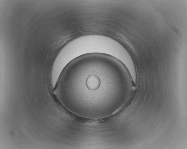 X0000115380076200911171444