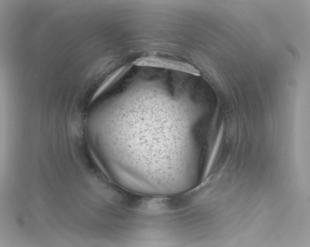 X0000115380078200911171444