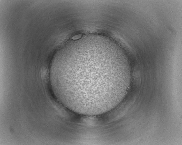 X0000115380079200911171444