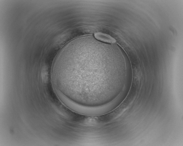 X0000115380080200911171444