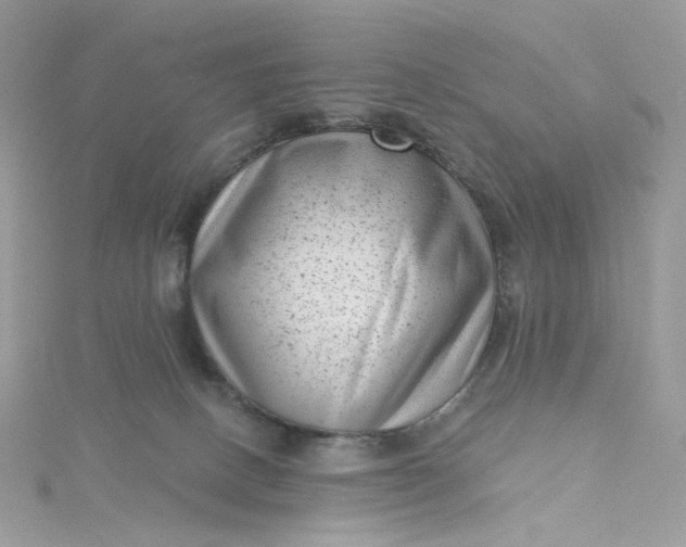 X0000115380082200911171444