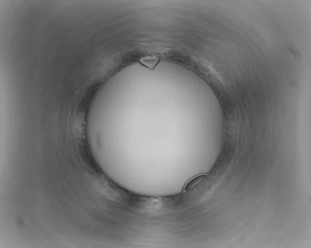 X0000115380083200911171444