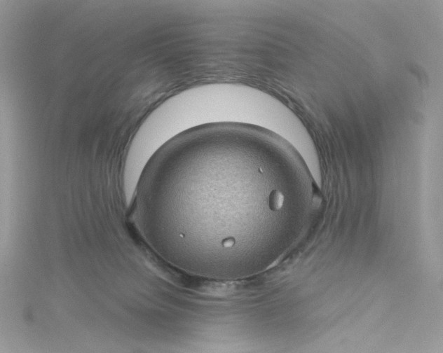 X0000115380084200911171444