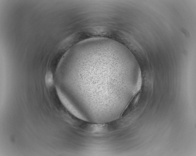 X0000115380089200911171444