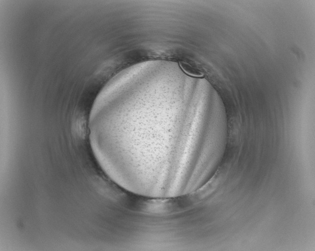 X0000115380090200911171444