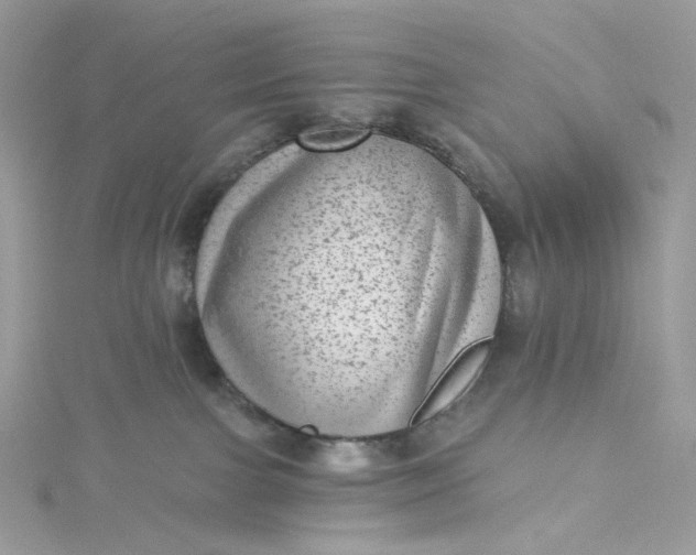 X0000115380091200911171444