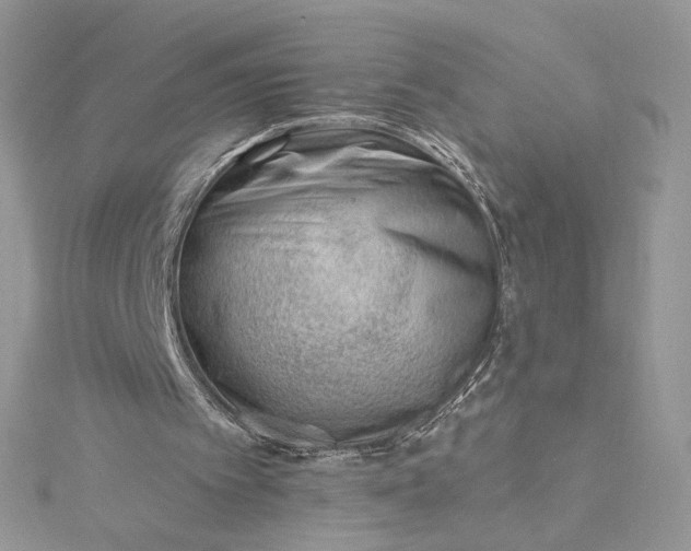 X0000115380097200911171444