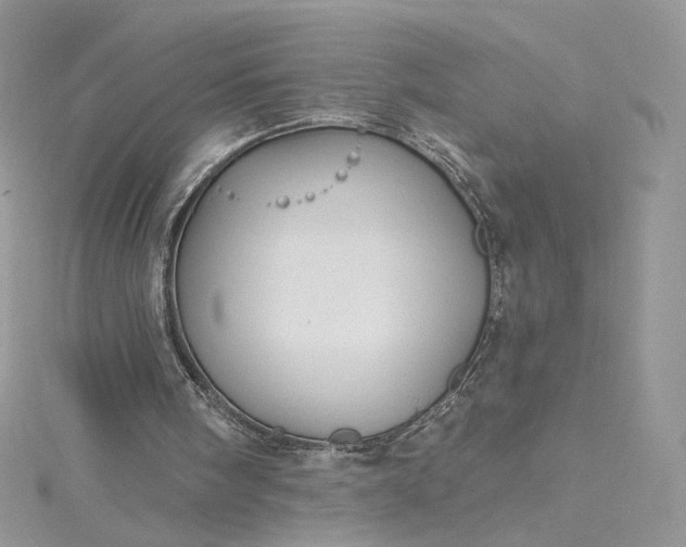 X0000115380098200911171444