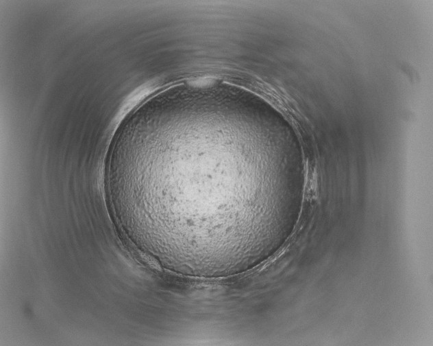 X0000115380099200911171444