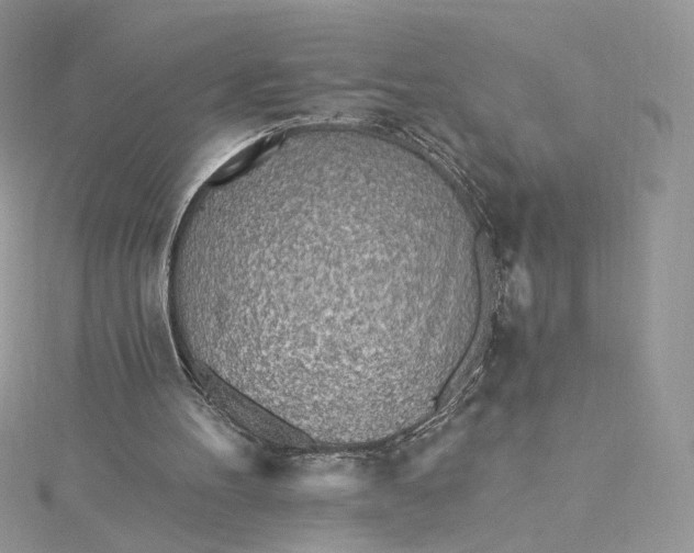 X0000115380100200911171444