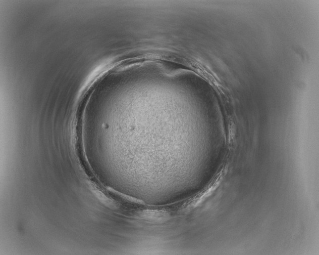 X0000115380101200911171444