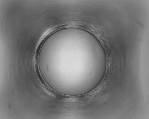 X0000115380102200911171444