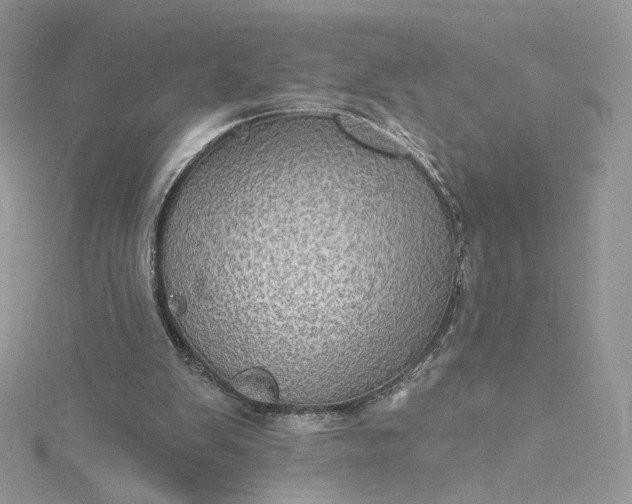 X0000115380103200911171444