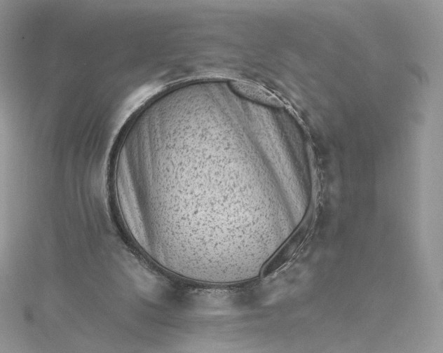 X0000115380104200911171444