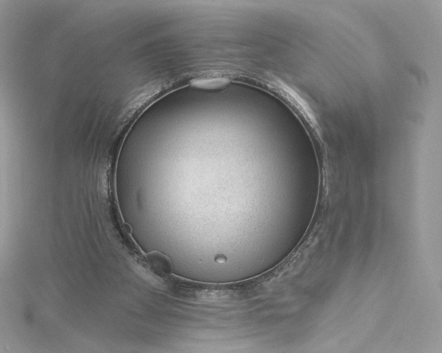 X0000115380105200911171444