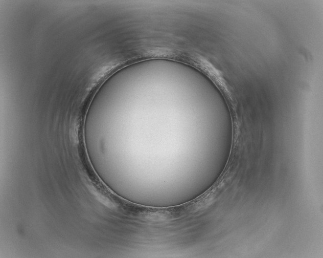 X0000115380106200911171444