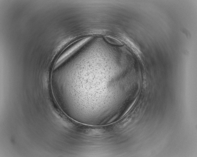 X0000115380107200911171443