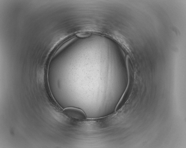 X0000115380108200911171443