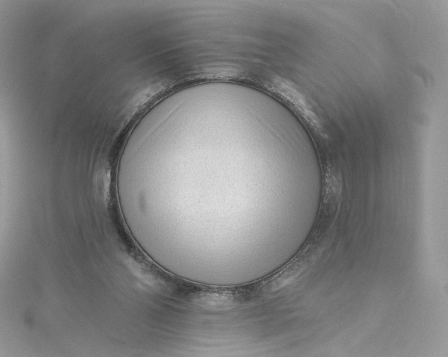 X0000115380110200911171443