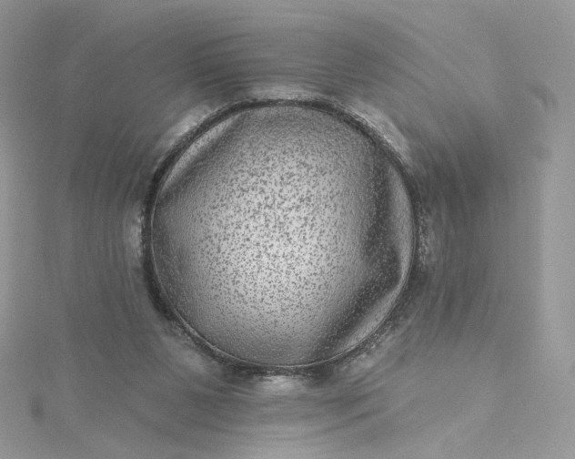 X0000115380111200911171443