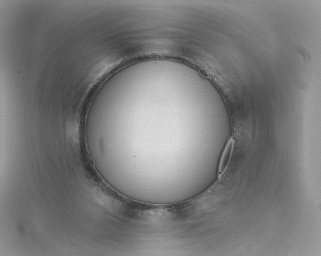 X0000115380112200911171443