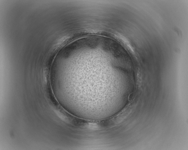 X0000115380114200911171443