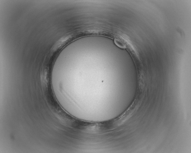 X0000115380116200911171443