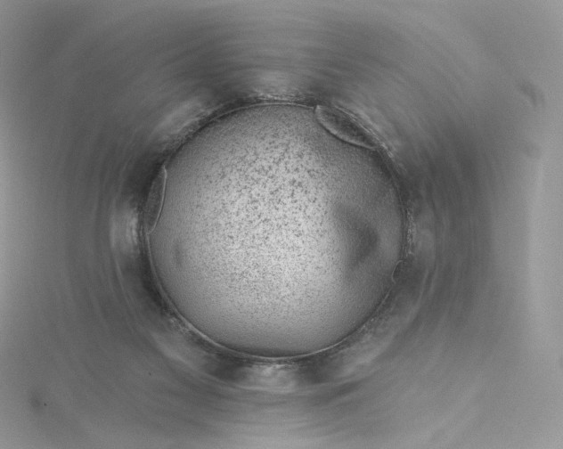 X0000115380117200911171443