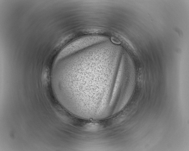 X0000115380119200911171443