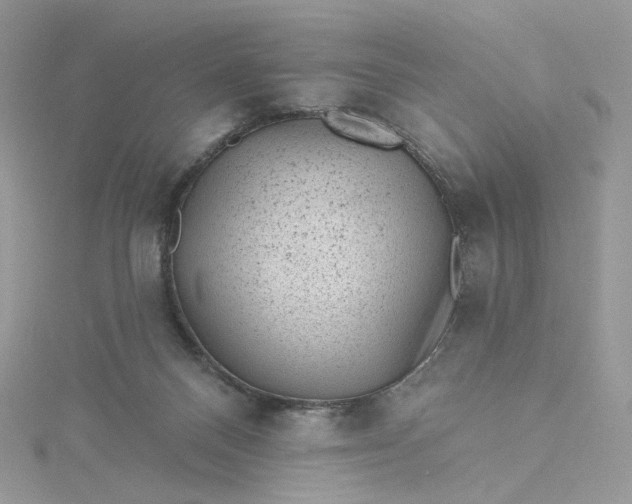 X0000115380120200911171443