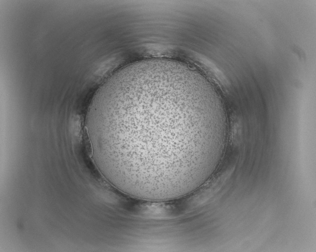 X0000115380121200911171443