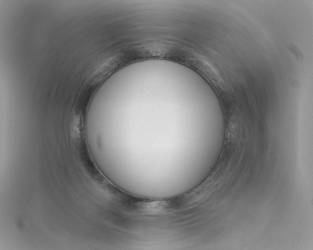 X0000115380122200911171443