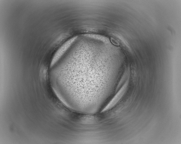 X0000115380123200911171443