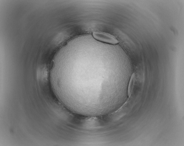 X0000115380124200911171443