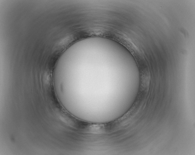 X0000115380126200911171443