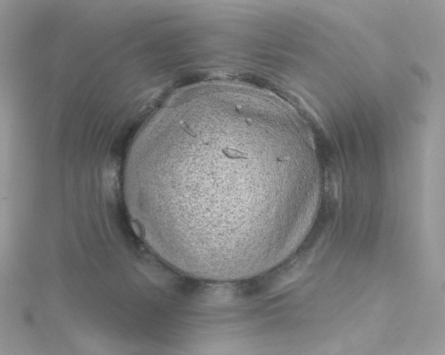 X0000115380127200911171443