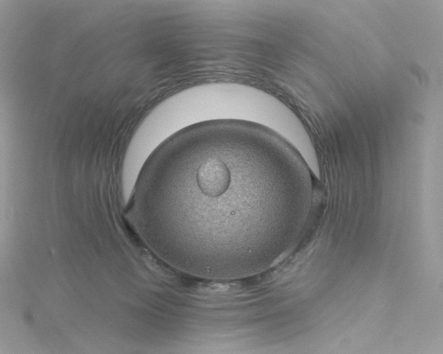 X0000115380129200911171443