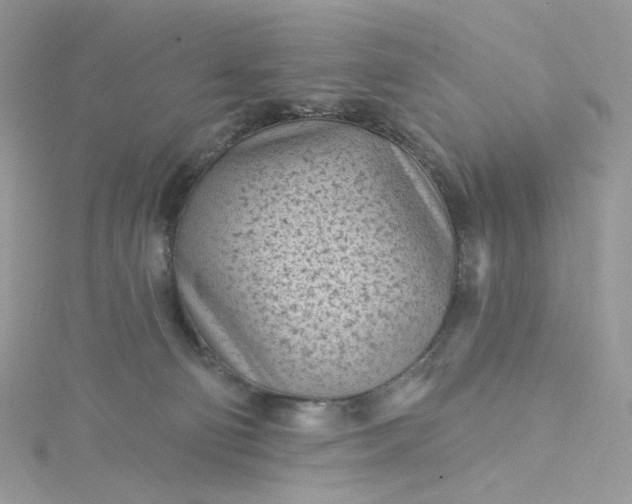 X0000115380130200911171443