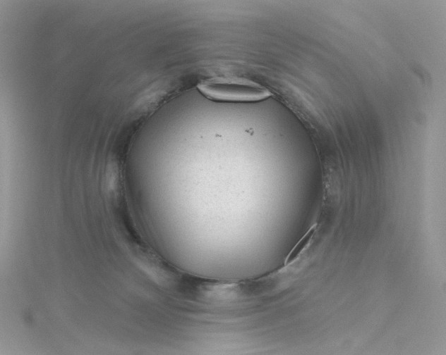 X0000115380132200911171443