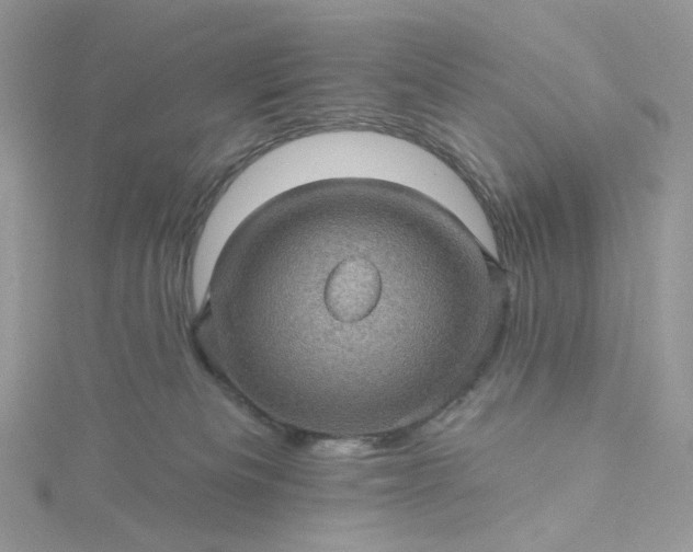 X0000115380133200911171443