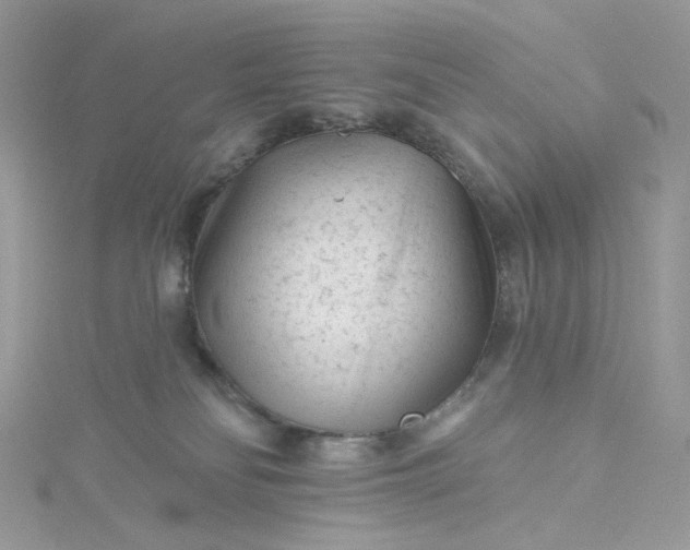 X0000115380134200911171443