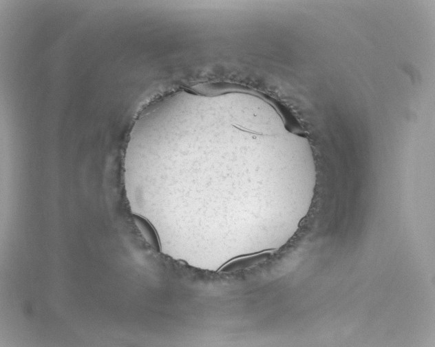 X0000115380144200911171443